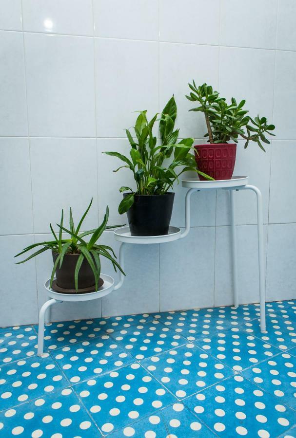 Downtown Shelter - Casa Da Praca Apartment Авиеро Екстериор снимка